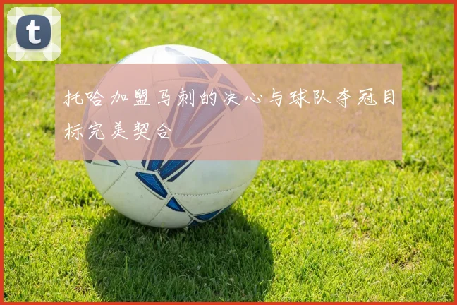 托哈加盟马刺的决心与球队夺冠目标完美契合
