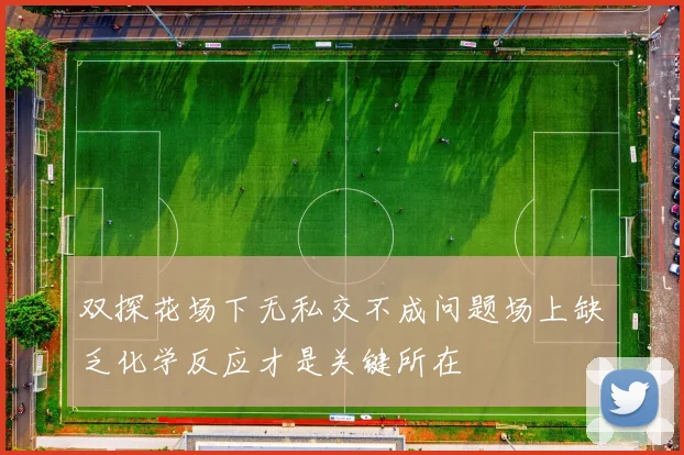 双探花场下无私交不成问题场上缺乏化学反应才是关键所在